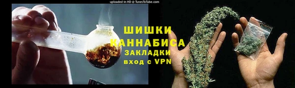 PSILOCYBIN Россошь