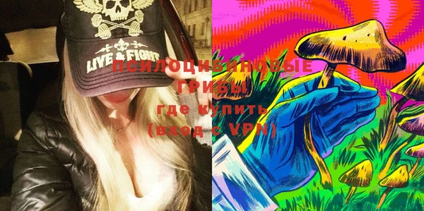 PSILOCYBIN Россошь